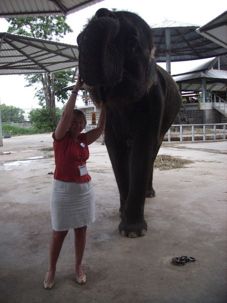 Ирина Асеева