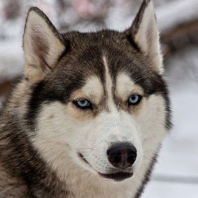 Саша Ващекин