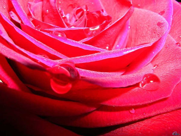 Гулсун Бактыбековна