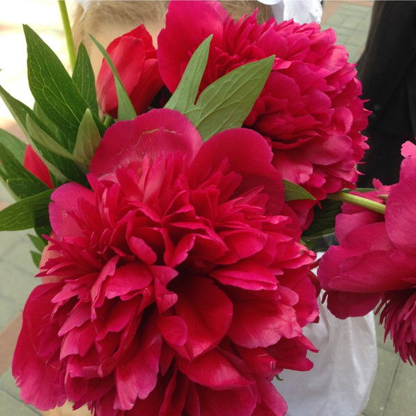 Ирина Санина