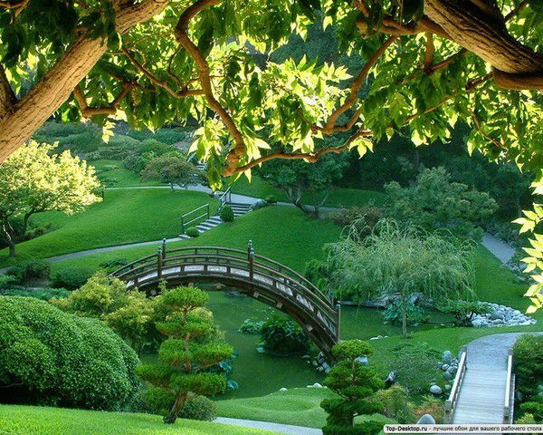 Жазира Абуова