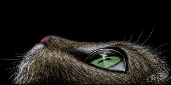 Лина Довбыш