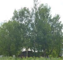 Валерий Русских