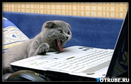 Сергей Нарушев