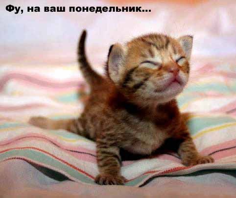 Виталий Гринчук