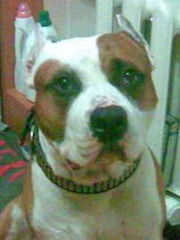 Юрий Филиппов