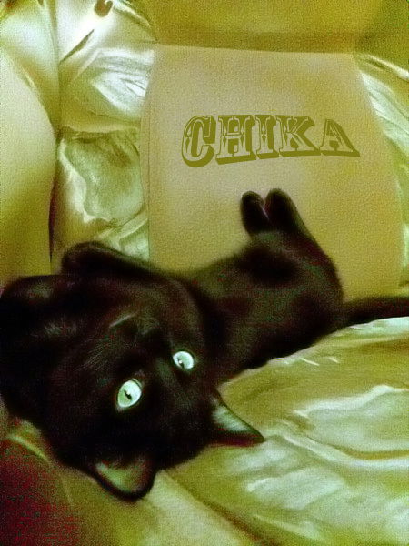 Чика Кошмарик