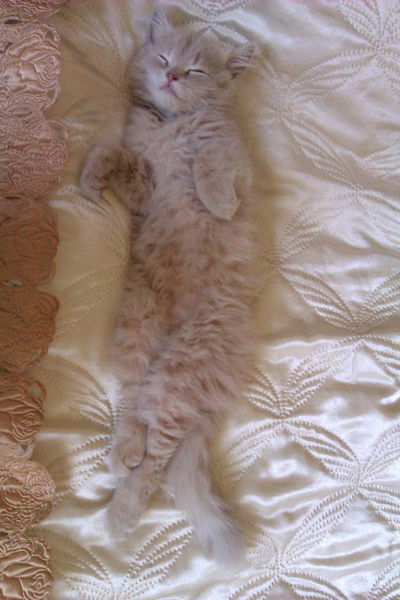 Марина Ларионова