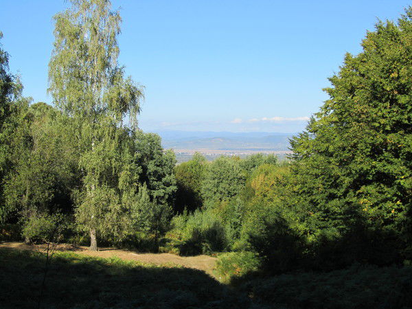 Татьяна Галушка