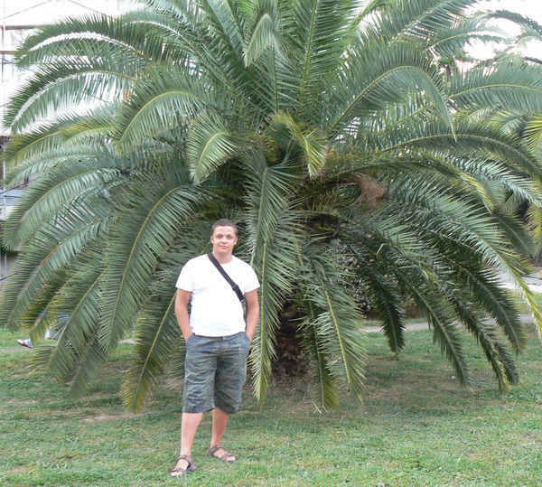 Евгений Константинов