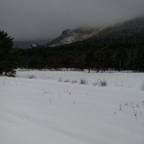 Аида Сарыбаева