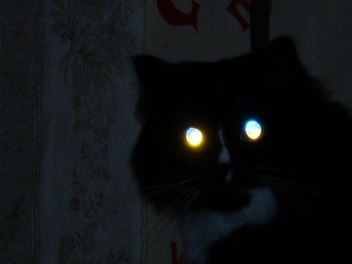 Марина Чермошенцева