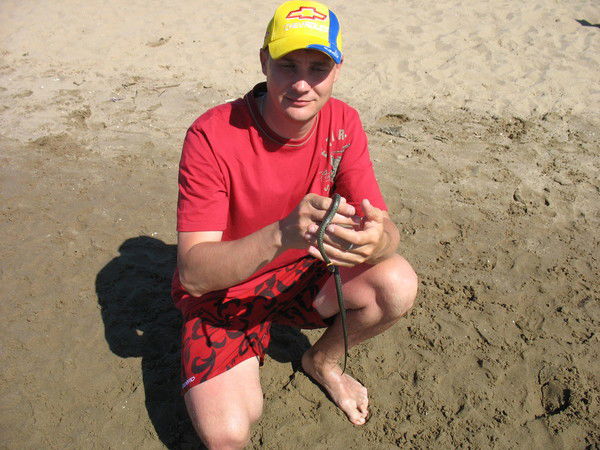 Александр Дробжев