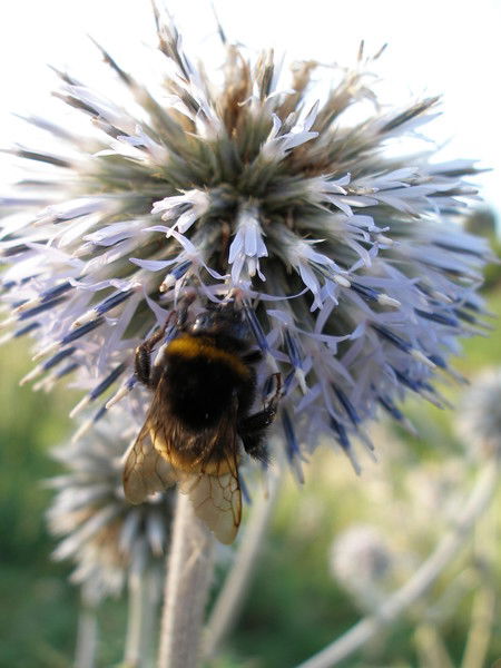Андрей Богаченко