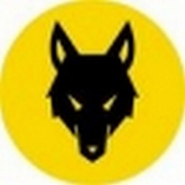 Алексей Волков