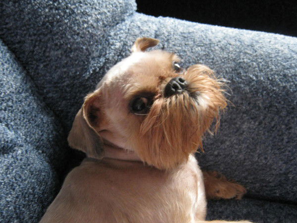 Наталья Бутякова