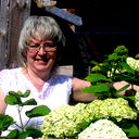 Елена Демидова