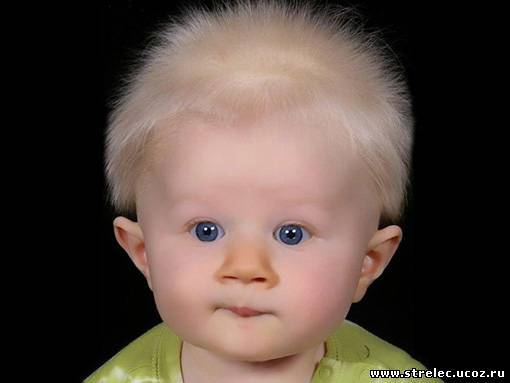 Сергей Бабашкин