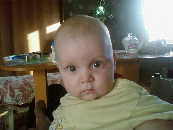 Наталья Шрайнер