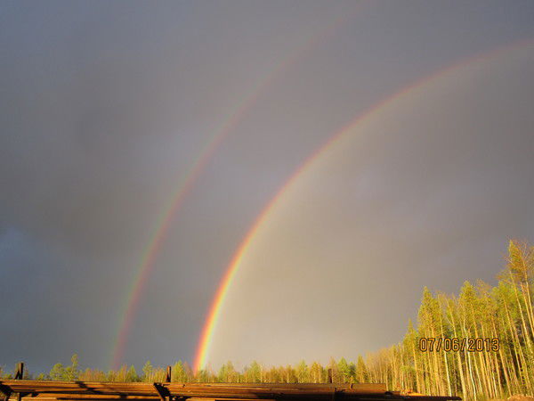 Ск Векторпроджект Месторождение