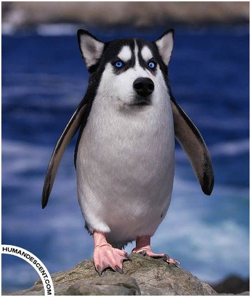 Радий Искандыров