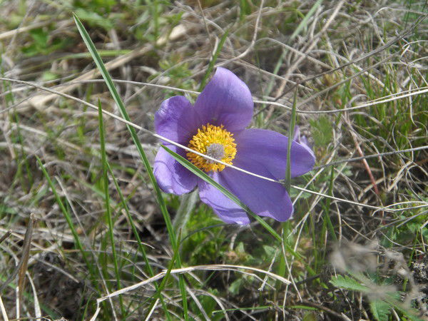 Лилия Кушнарёва