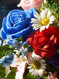 Ева Ганишева