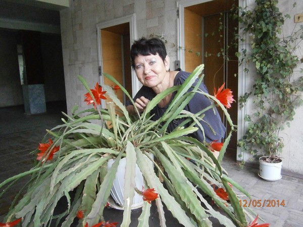 Надежда Малова