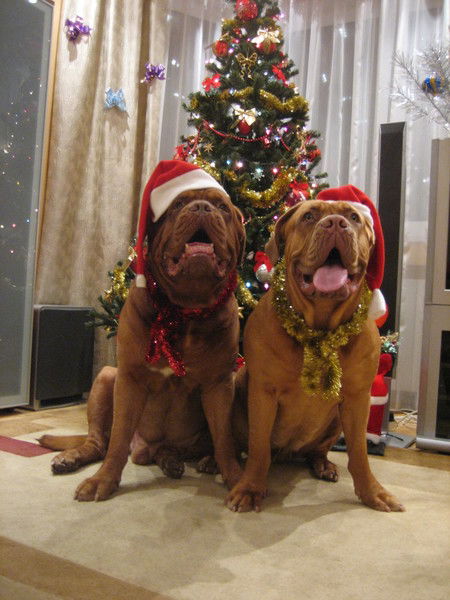 Наталья Силантьева