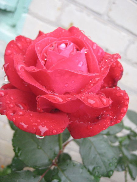 Татьяна Караспанакова