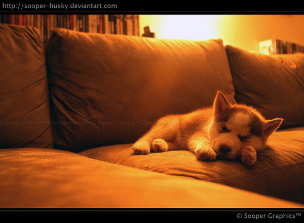 Людмила Горошкина