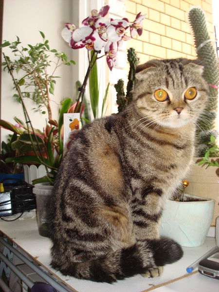 Надежда Фомичёва