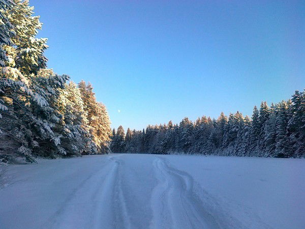 Сергей Царенко