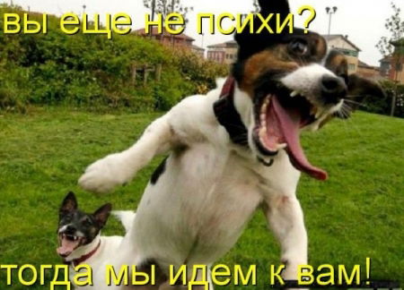 Лом Ломенко