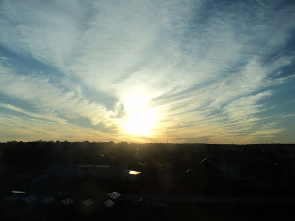 Татьяна Киселева