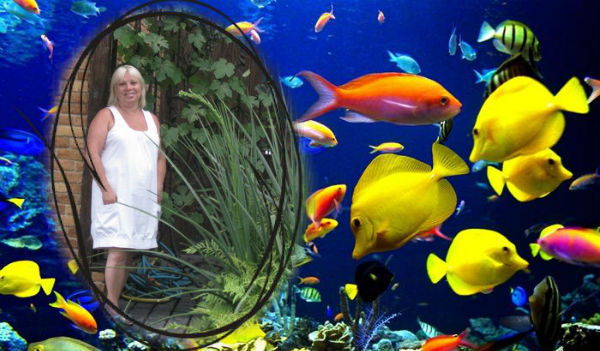 Елена Колесникова