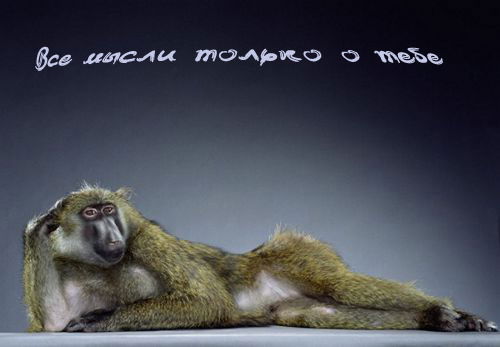 Саша Молодой