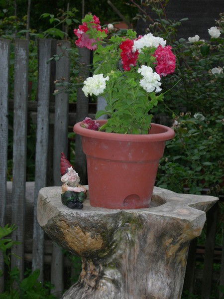 Ирина Колганова