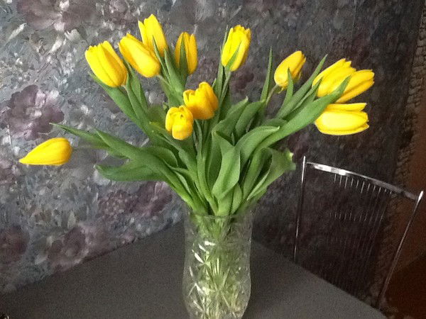 Татьяна Колесень