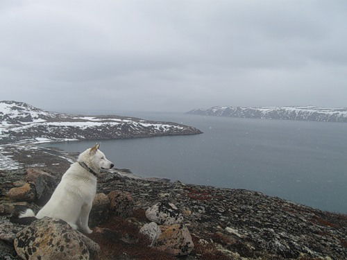 Василий Ивченко