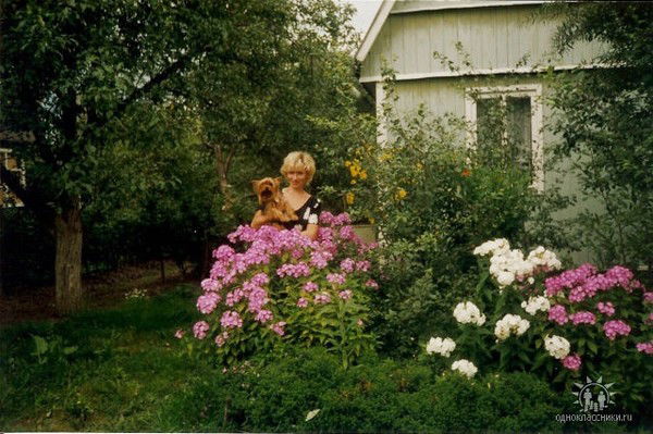 Лариса Михеева