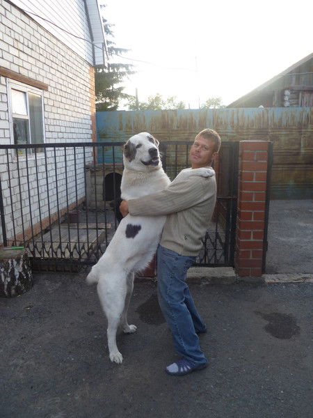 Валерий Надеин