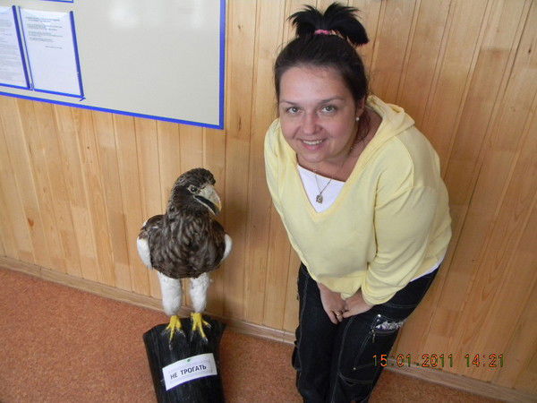 Елена Ильина