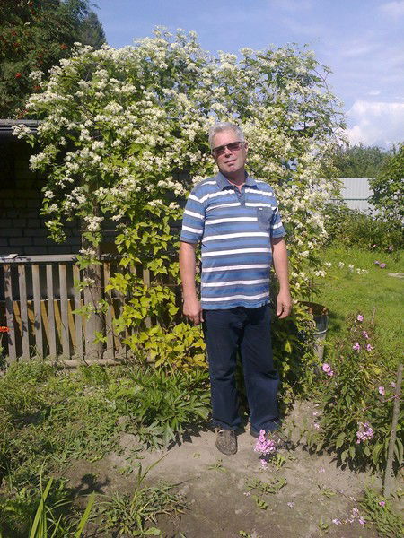 Вячеслав Никитин