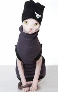 Анастасия Штырлова