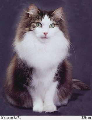 Оксана Ершкова