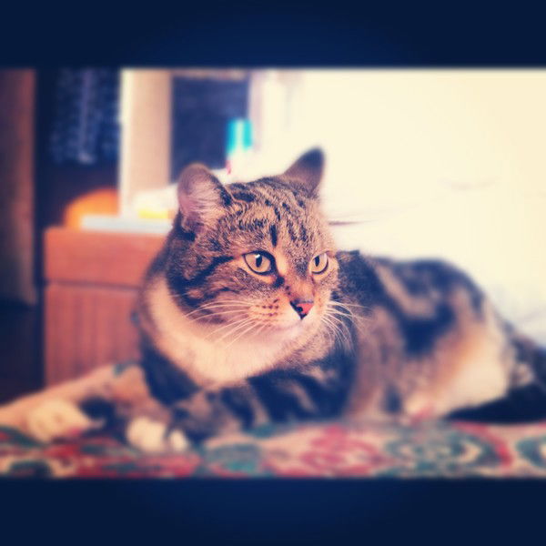 Анна Прохорова