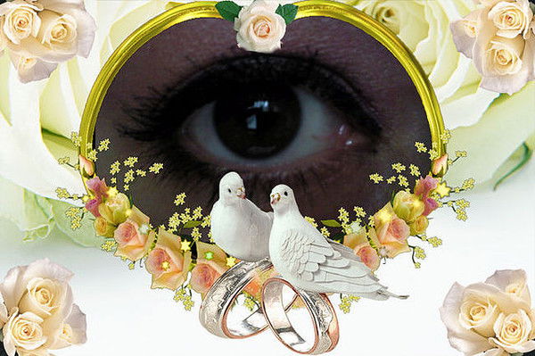 Елена Андреева