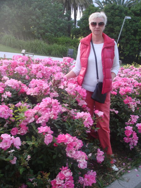 Елена Богачева