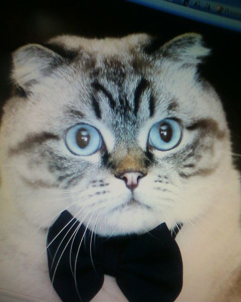 Александр Антонов